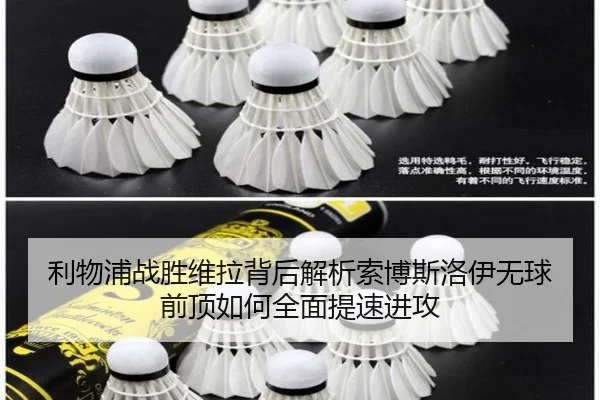 li-wu-pu-zhan-sheng-wei-la-bei-hou-jie-xi-suo-bo-si-luo-yi-wu-qiu-qian-ding-ru-he-quan-mian-ti-su-jin-gong-2-653.jpg